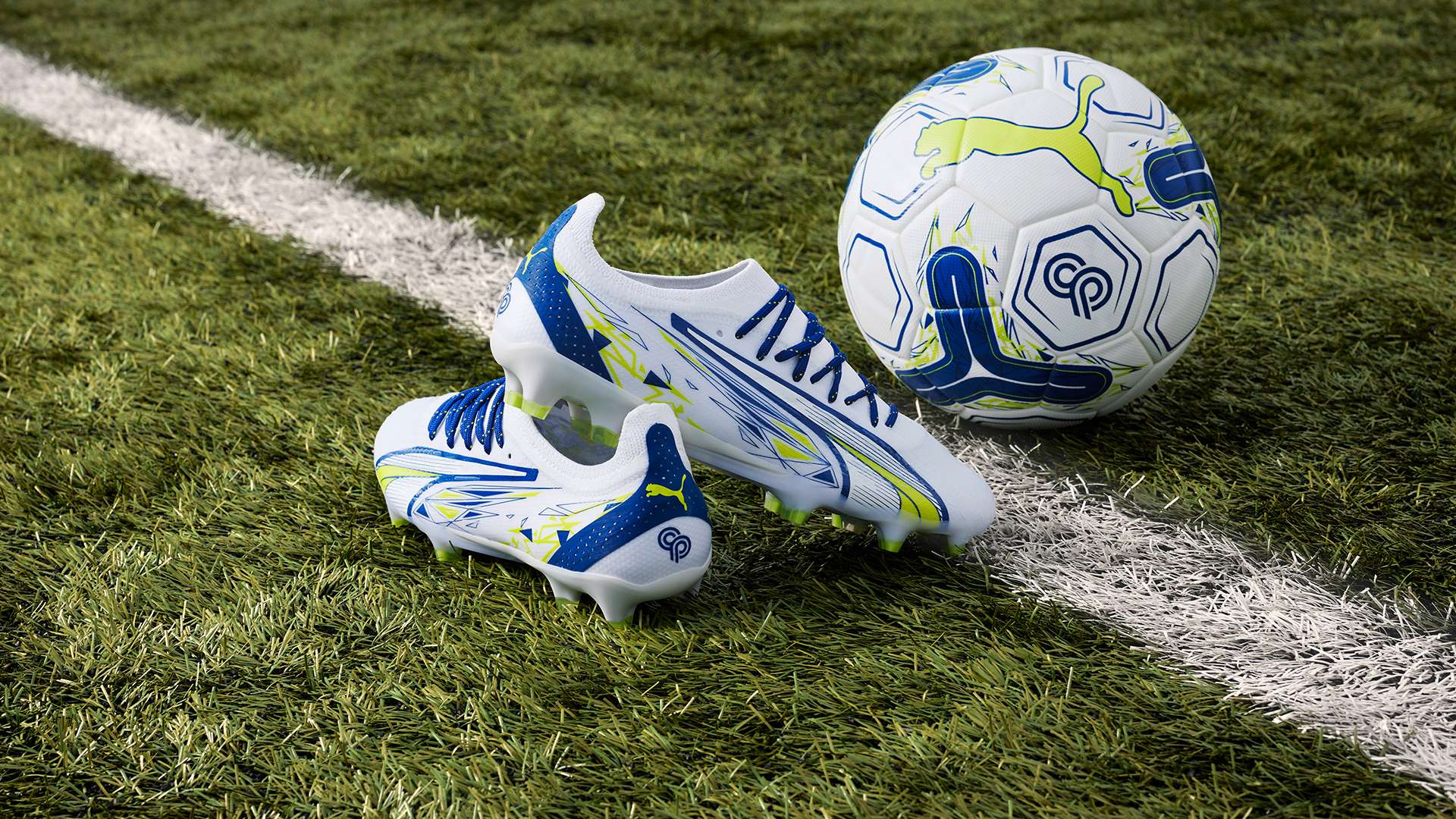 切尔西与利 切尔西与利