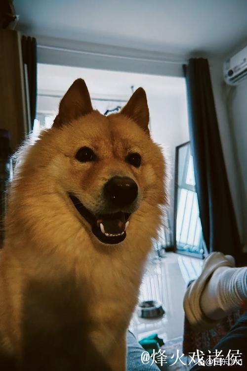 曼晚:第3次报价没动静,姆贝乌莫和阿莫林都对进展缓慢失望 曼晚:第3次报价没动静,姆贝乌莫和阿莫林都对进展缓慢失望